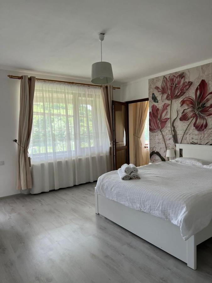 Appartement Casa Mardar à Oradea Extérieur photo